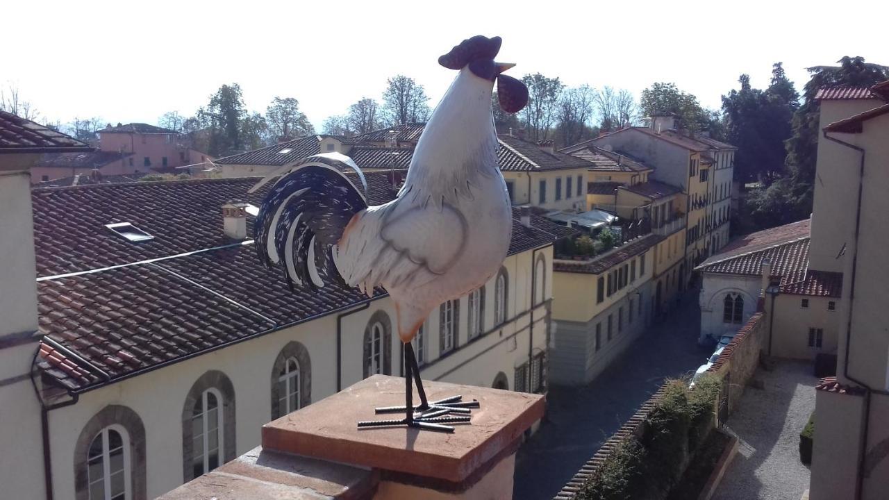 Terrazza Coccode' Spazioso Con Vista Mozzafiato! Λούκα Εξωτερικό φωτογραφία